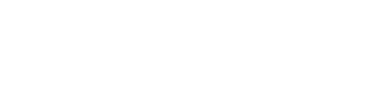 Pashmin Art Museum Logo