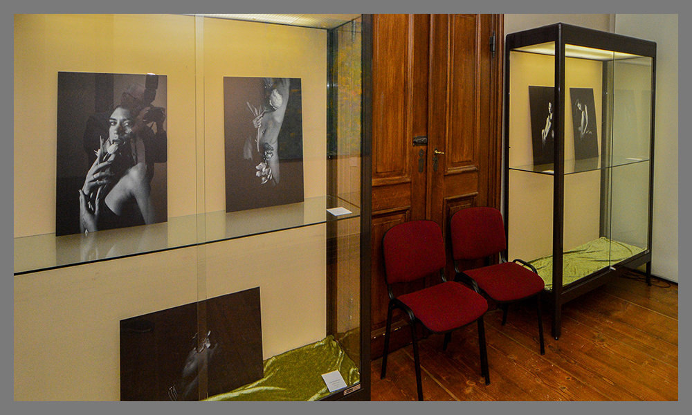 Feinabstimung -5:-5 Pefekt nach Focu